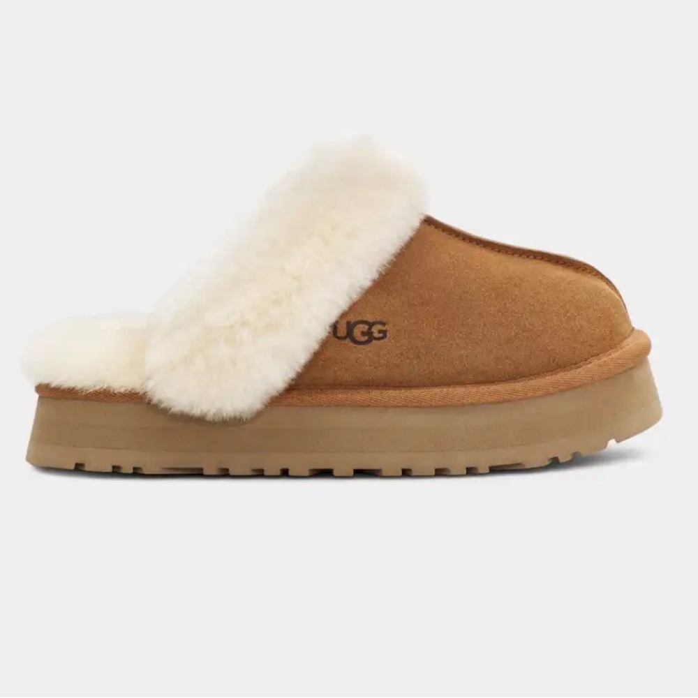Chestnut Disquette Uggs